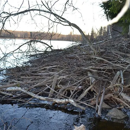 Huoneistohotelli Salpalinjan Hovi 3*