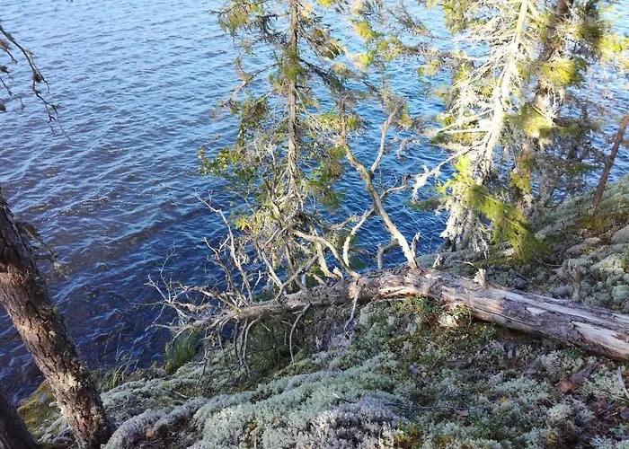 Salpalinjan Hovi Appart hôtel