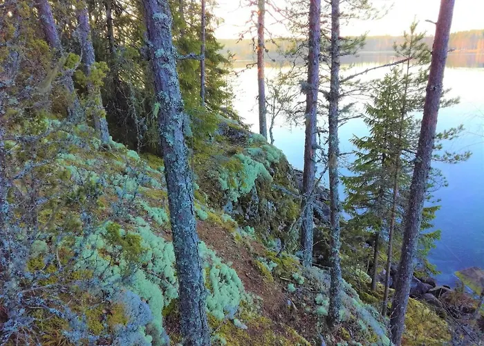 Salpalinjan Hovi Appart hôtel