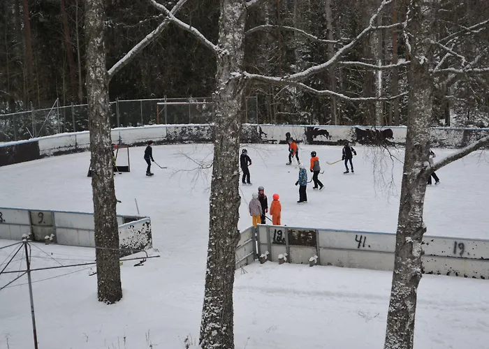 Appart hôtel Salpalinjan Hovi Lappeenranta