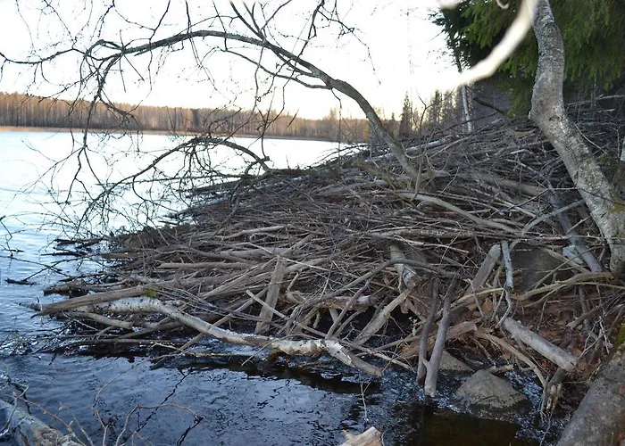 Appart hôtel Salpalinjan Hovi 3*